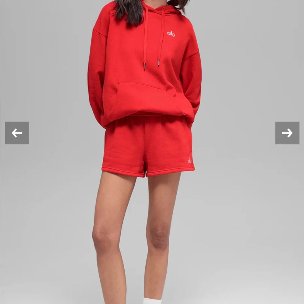 ALO Yoga Accolade Hoodie NWT (M) - Picture 3 of 5